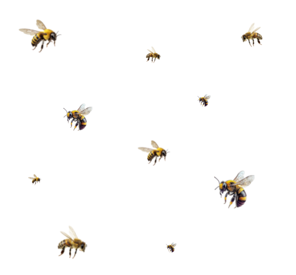 bees